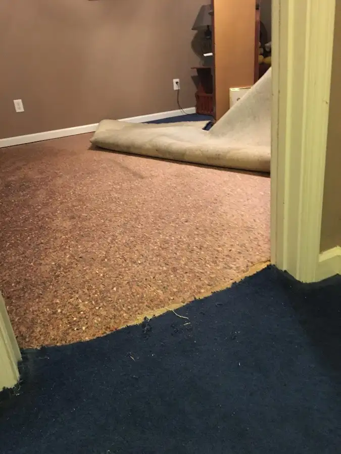 Carpet pad removal revealing water damage during Drying & Dehumidification in Marion